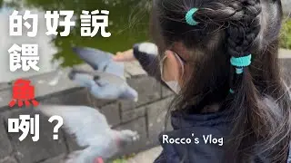 不是說餵魚嗎? 怎麼整群都衝過來 | 228公園漫步 | 迴轉壽司的聯名活動