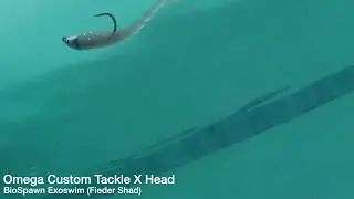 Omega X head and Exoswim Underwater Footage..