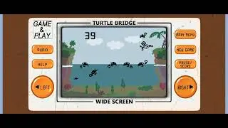 Turtle:90s and 80s arcade games by pixelegend