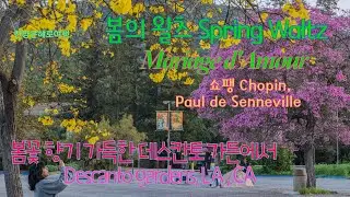 봄꽃 향기 가득한 Descanto gardens에서, LA , CA '봄의 왈츠'  쇼팽,  'Mariage d'Amour' Paul de Senneville 4K