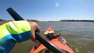Dundee Creek Marina - Sea Kayaking