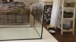 Mieren nest maken voor een grote kolonie