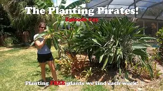 Planting FREE Plants we find Weekly! | The Planting Pirates Episode #43
