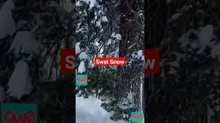 Swat Valley first Snowfall #snowfall #snow #swat #swatvalley #gabinjabba #kalam #switzerland