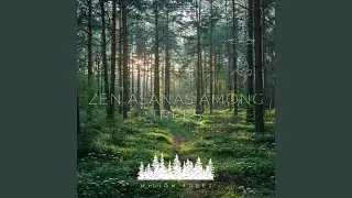 Nature Calmness