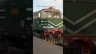Tazgam