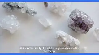 Exploring the Microcosmos  A Journey into the Microscopic World