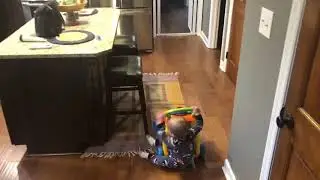 Lawson the Walker Pro