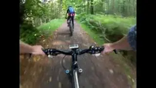 craigvinean forest on a surly moonlander