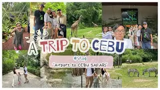 Asha's Trip to Cebu 