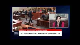 Law & Crime | Attorney Mitra Ahouraian on frequent sidebars during Dr. Dawn Hughes' testimony