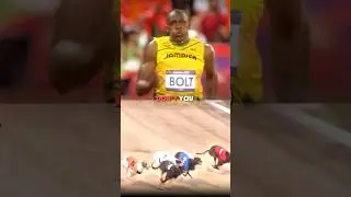 Usain bolt Vs fastest Dog 🥶👀..#motivation #shorts #shortsfeed
