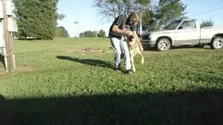 MOV01058