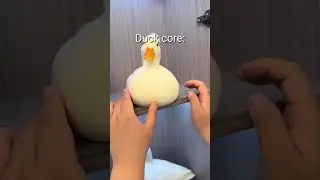 Duck core🤣He put the feather on his head😅 #living_life #animals #viralvideo #funny #Shorts #Duck