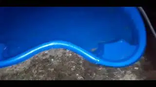 Завершение работ по водоснабжению с помощью отпугивания свиней.