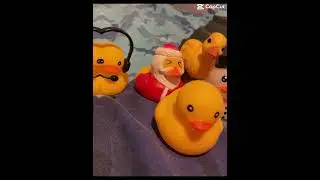 Ducky race part 1 edit