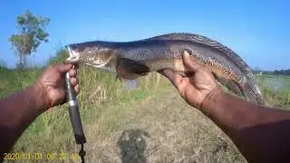 #snakeheadfishing/#rod &#reel fishing /El shaddai angler/tamil fishing video