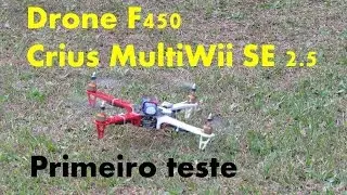 Drone F450 com Placa CRIUS MultiWii SE 2.5 + GPS e Bluetooth