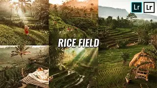 Rice Field Bali Preset DNG - Tutorial Lightroom Mobile | Free Lightroom Mobile Presets