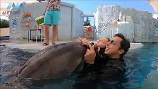 Dolphin Therapy