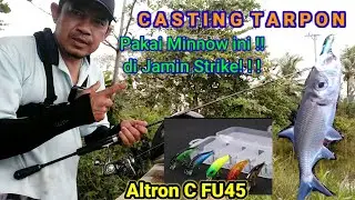 Casting Ikan Tarpon Menggunakan Minnow Killer | Altron Replika Murah -strike terus!!!