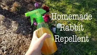 Homemade Rabbit Repellent 🐰🦌