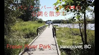 Walking around Fraser River Park　🇨🇦バンクーバー市内のフレーザー川公園を散歩！