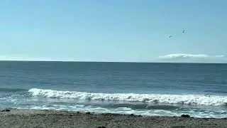 Goleta Beach Park, Santa Barbara County