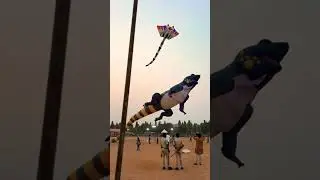 #tredingsong#kite#kiteflying #festival 🪁🪁