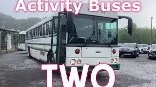 Activity Buses 2