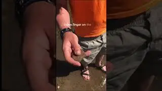 How to skip a rock #nature #tutorial #shorts