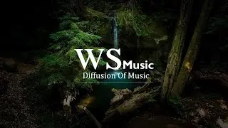 [ NIGHT OF REFLECTION ] DOWNTEMPO / ELECTRO 2021