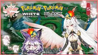 Dragon Plays Pokemon Black/White Soul-Link w/  @NokoDragon   Stream ​5 pt 2