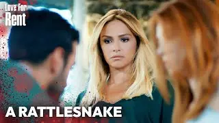 Even Yasemin felt the tension between them&hellip; 🐍🐍 | Love For Rent | English Subtitles | Kiralik Ask