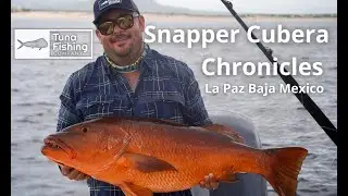 Epic Battle with a Giant Cubera Snapper in Baja Mexico!
