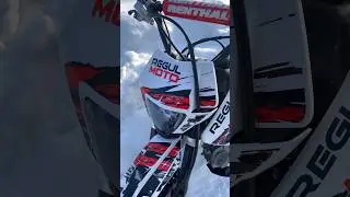 Имбулька 💯 #regulmoto #питбайк #покатушки #мотокросс #поле #bike #лес #альфа #рекомендации