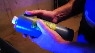 phytoplankton - growing phyto 101