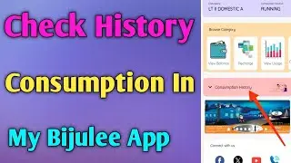 How to check history consumption in my Bijulee app 2025