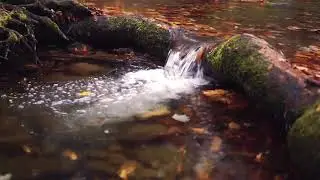 Creativity Boosting Music, Isochronic Wave Music, Inspirational Feel Music