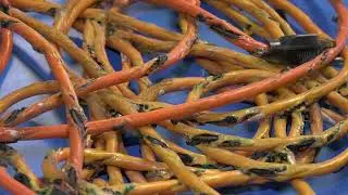 111924 PVFRS Fire Safety Ext  Cords
