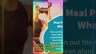 204 250104 Garden of Life Meal Replacement Shakes, Vegan Protein Powder,