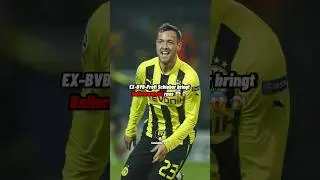 EX-BVB-Profi Schieber bringt Ballermann-Hit raus 😱🍻