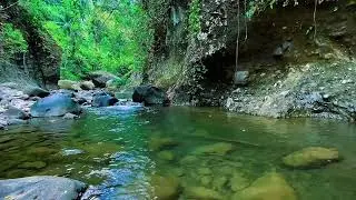 Mountain Stream Water Flow, Forest River Sounds, Sleep White Noise