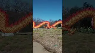 Dragon From Mulan @ Sundial Bridge Redding California 2024 #dragon #reddingca
