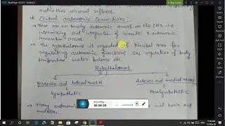 PHARMACOLOGY || B PHARMA || 2ND YEAR || UNIT 3, 2 a || ORGANIZATION AND FUNCTION OF ANS || LECTURE 1