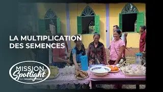 Janvier 31 &ndash; La multiplication des semences