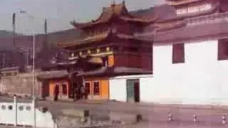 amdo of tibet, (raykong)