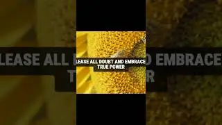 Confidence Morning Meditation #loa #affirmations #motivation