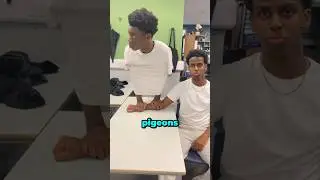 Viral Bird Trend 🤯