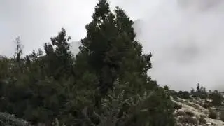 Ziziri world 3rd largest Juniper Forest at Ziarat Quetta Pakistan